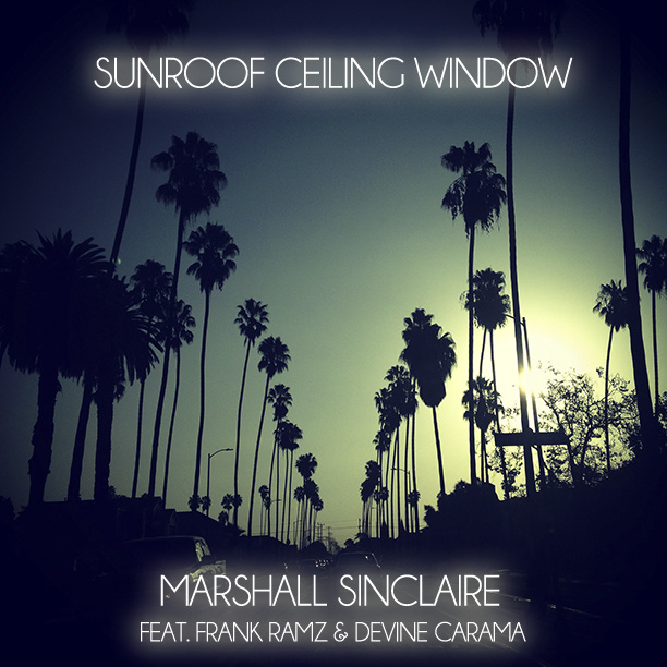 sunroof window