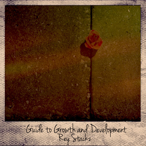 Rey Stackz: Guide to Growth & Development (Mixtape)