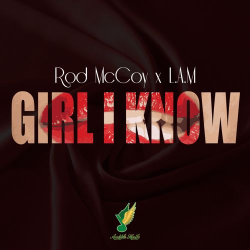Rod McCoy: Girl I Know Feat. L.A.M.