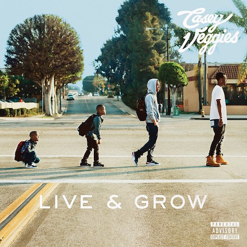 Stream Casey Veggies’ Debut LP, ‘Live & Grow’
