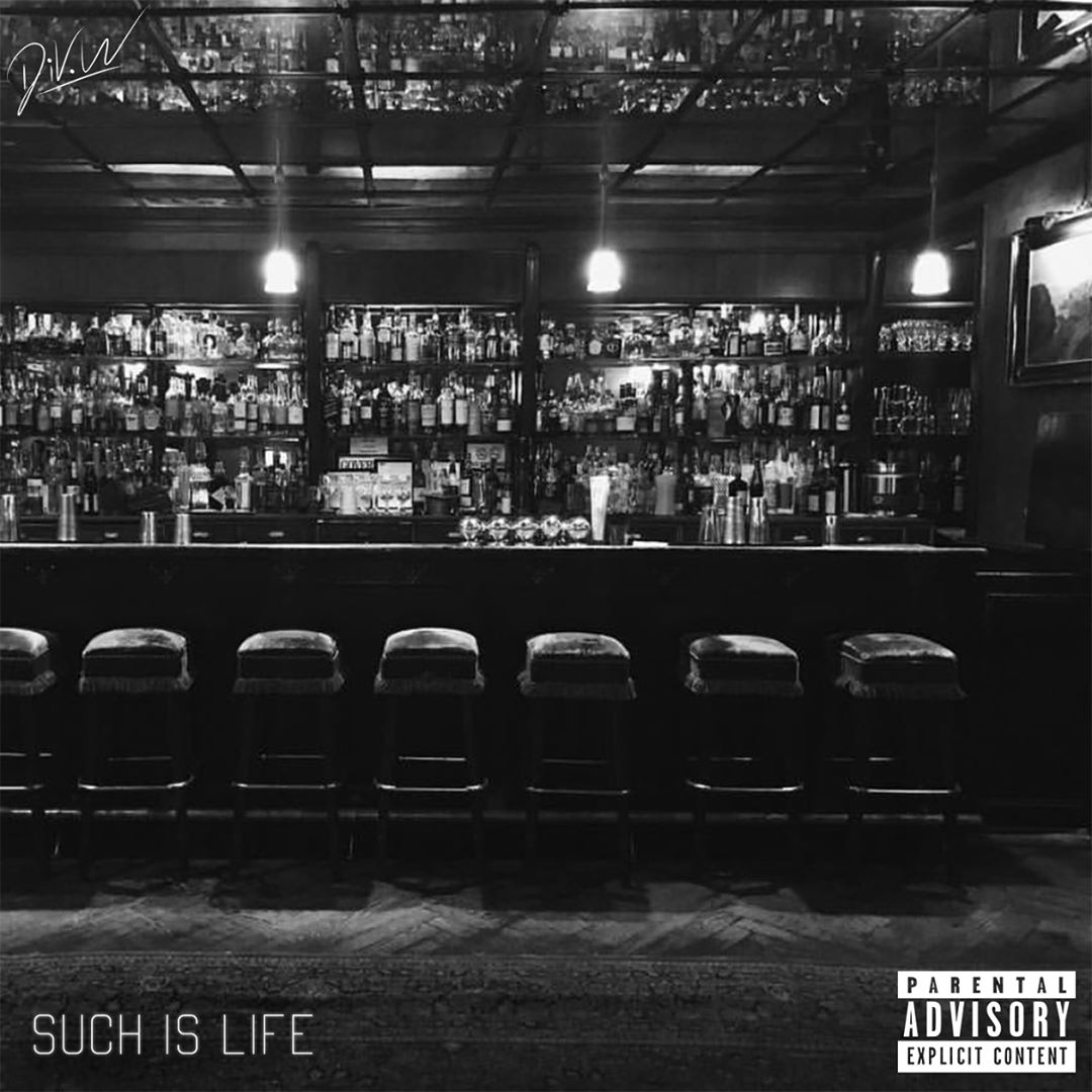 Stream DiV.W Sophomore LP, ‘Such is Life’