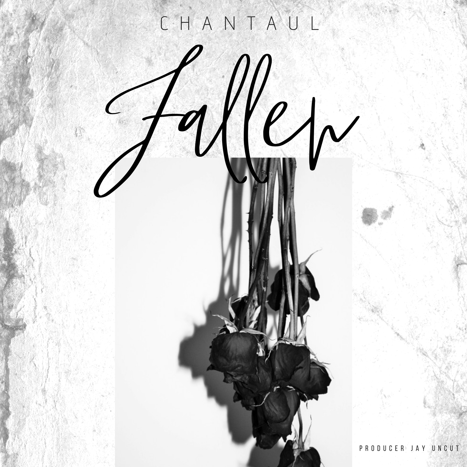 Chantaul Williams Drops Hot New Single “Fallen”